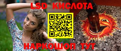 крисы Жуковский