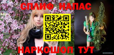 альфа пвп Заводоуковск
