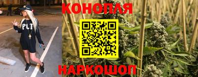 крисы Жуковский