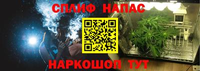 крисы Жуковский